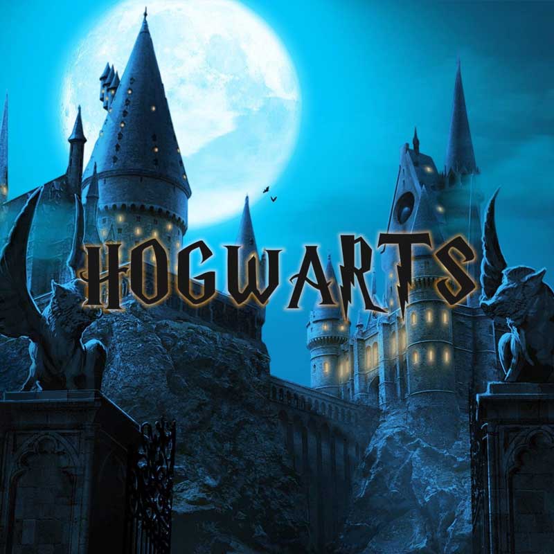 Wizard Academy character party